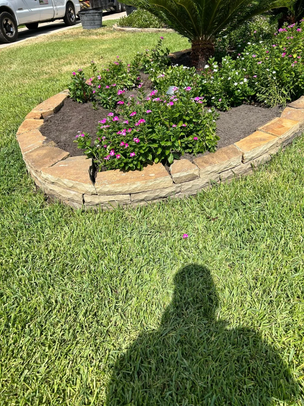 Longoria Landscaping